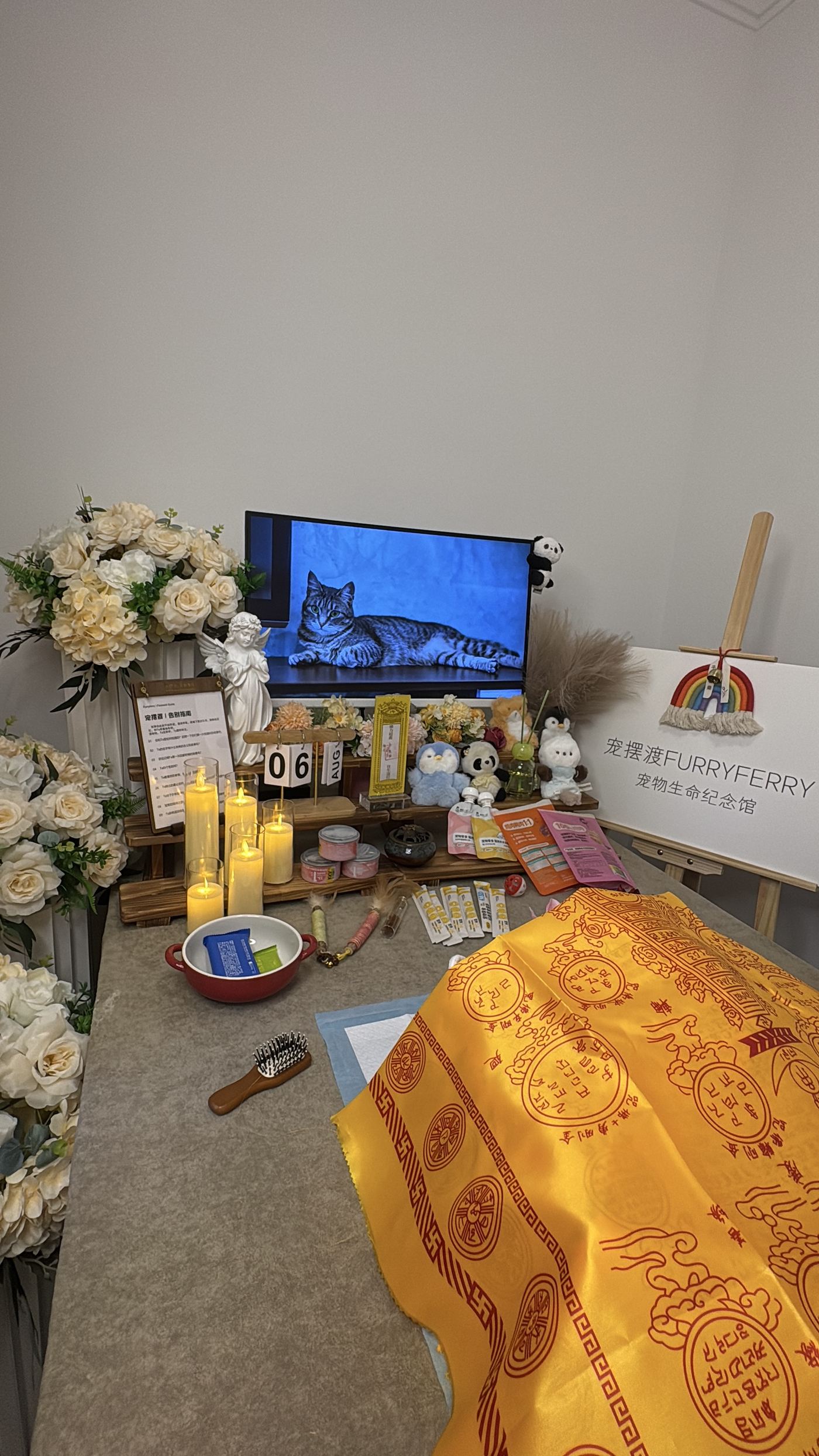 悲伤不需要理由