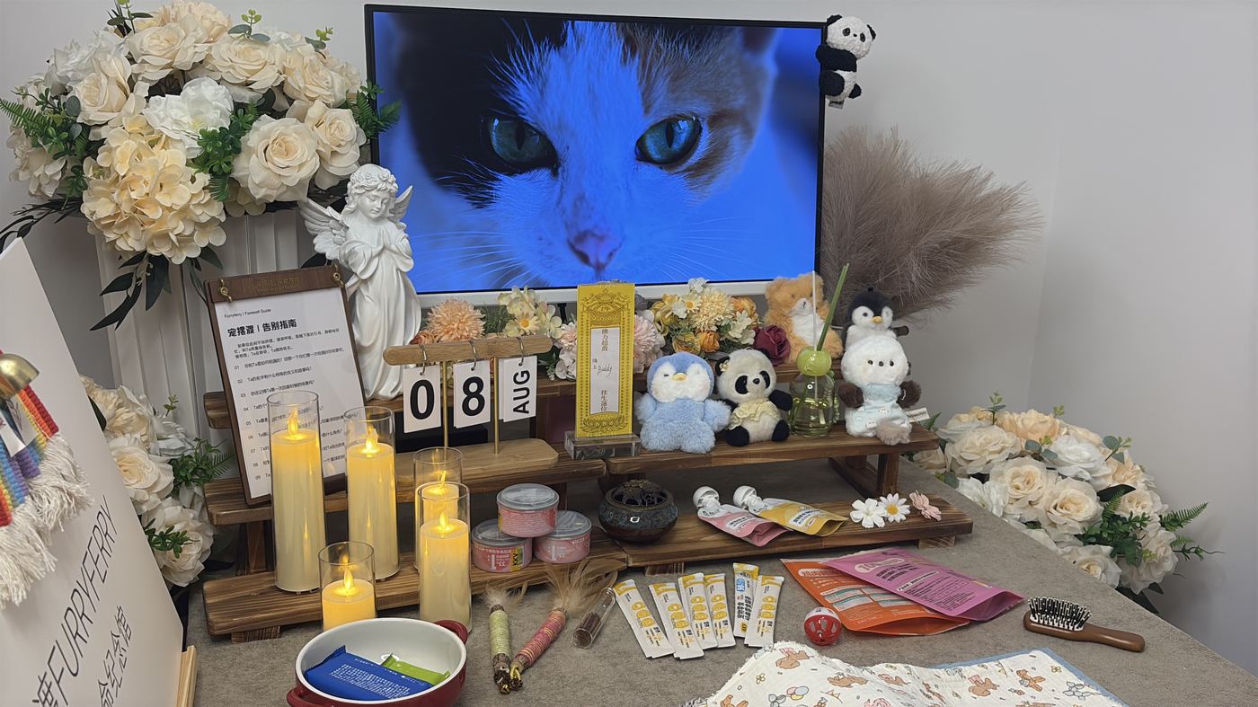 威海宠物告别厅布置：如何给海滨家属一个体面的告别