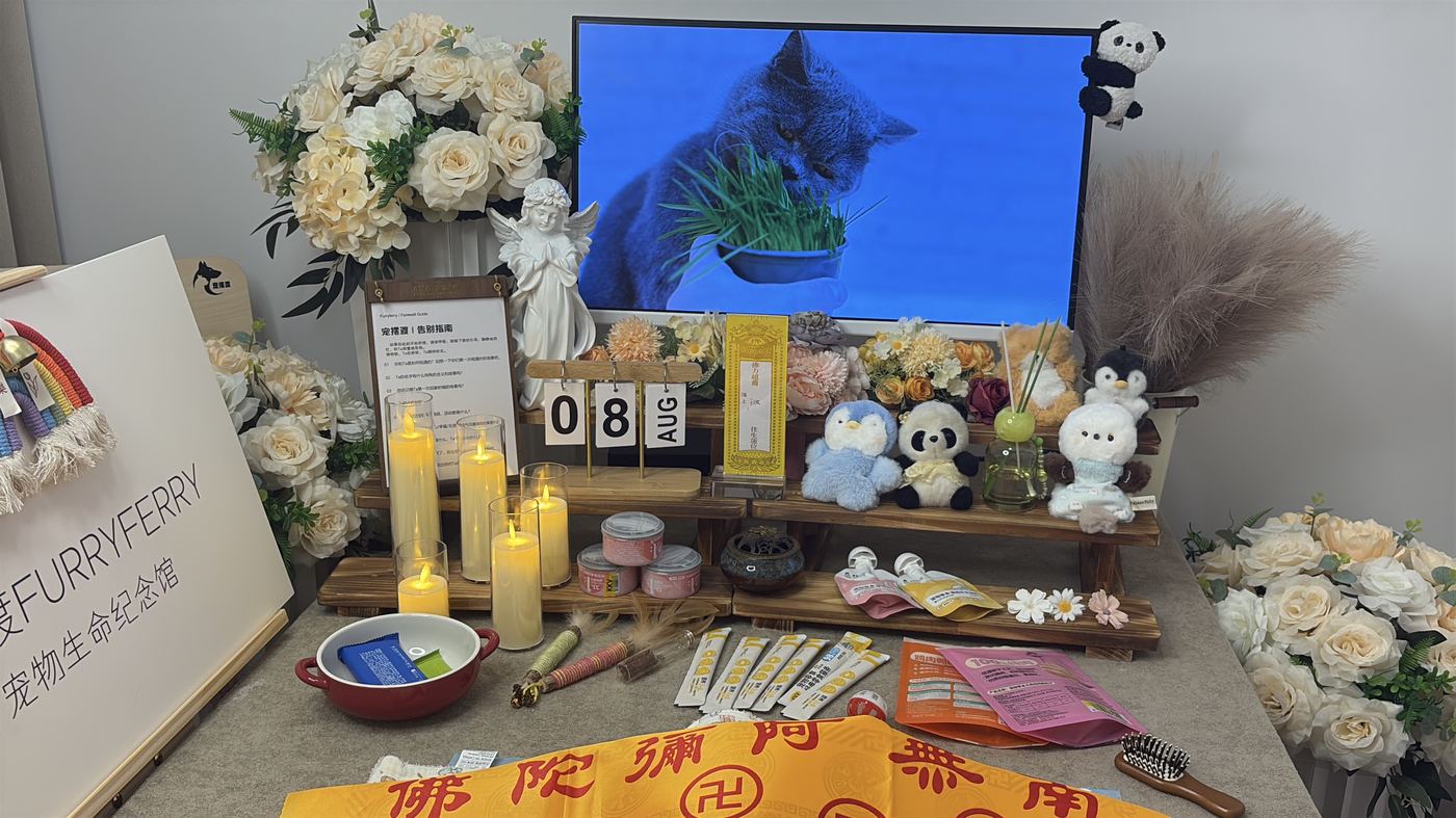 节日期间宠物殡葬服务安排：威海春节与清明假期指南
