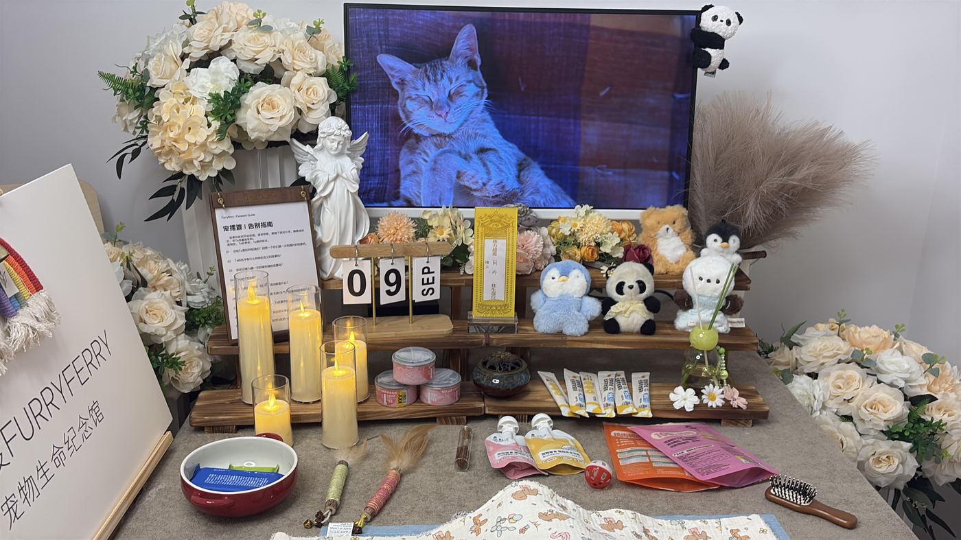 如何面对宠物离世的悲伤？写给威海养宠人的心理支持